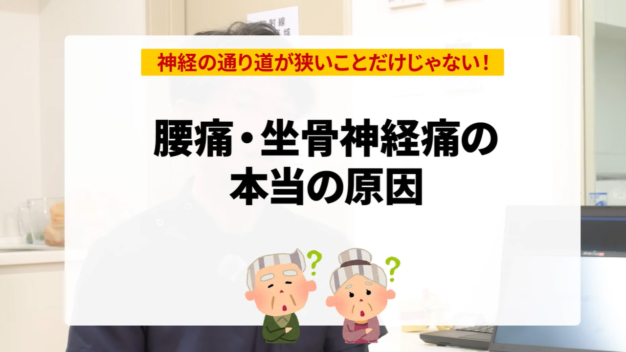腰痛・坐骨神経痛の原因とは