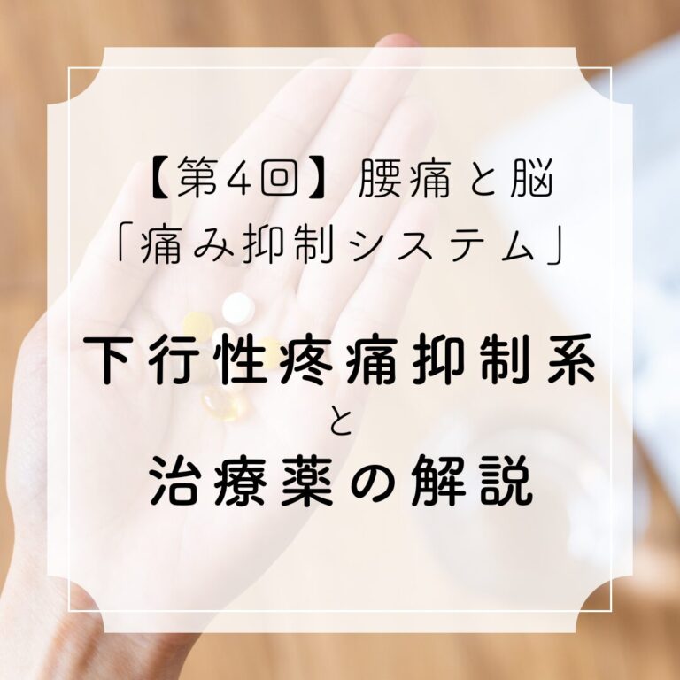 【第4回】腰痛と脳の「痛み抑制システム」下行性疼痛抑制系と治療薬の解説