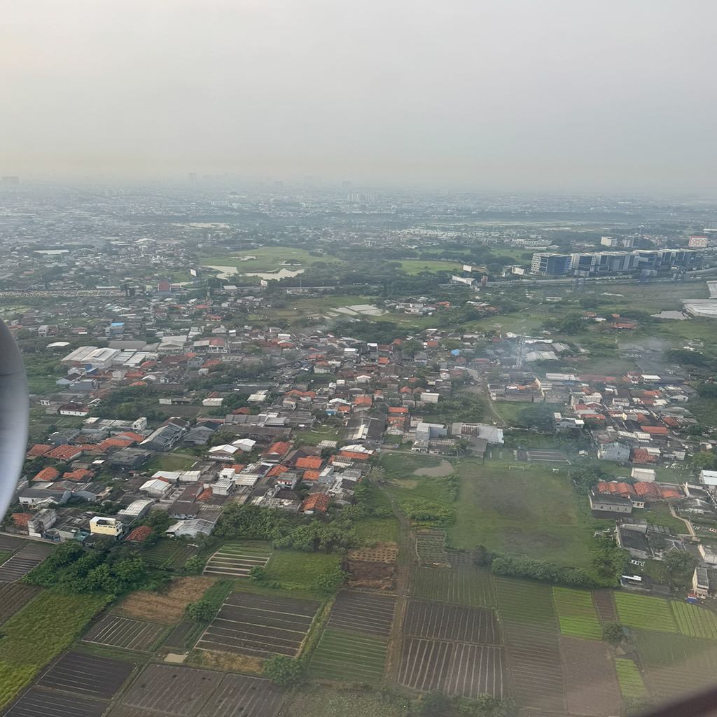 飛行機からの景色
