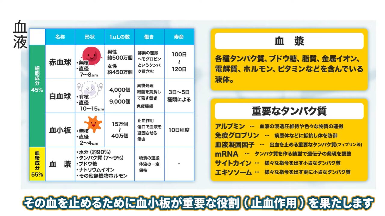 血液の中にある成分