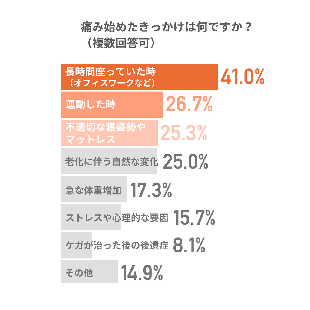 腰痛の原因のグラフ