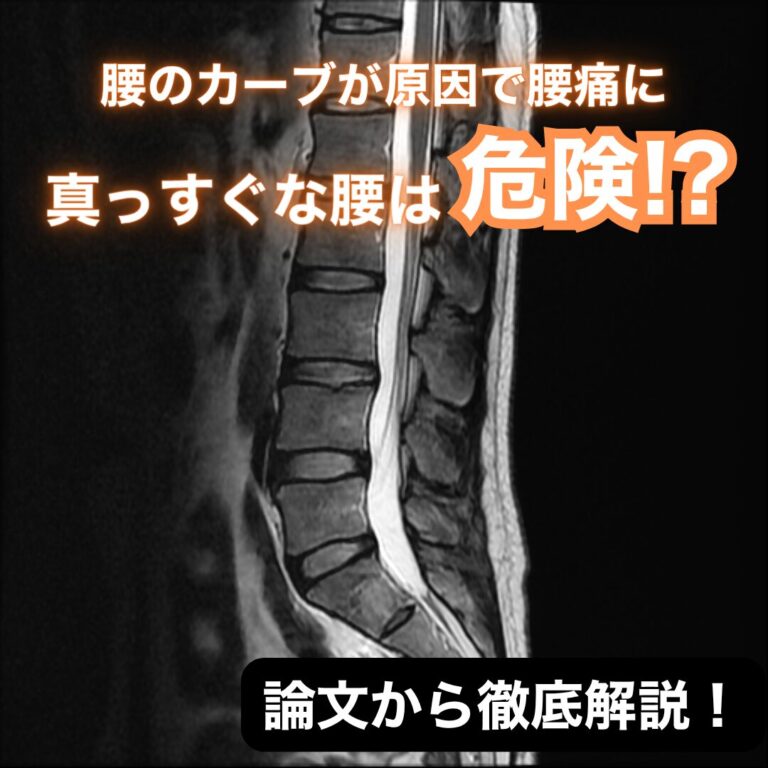 「腰が平ら」なのは危険信号？椎間板の老化とヘルニアを引き起こすメカニズム