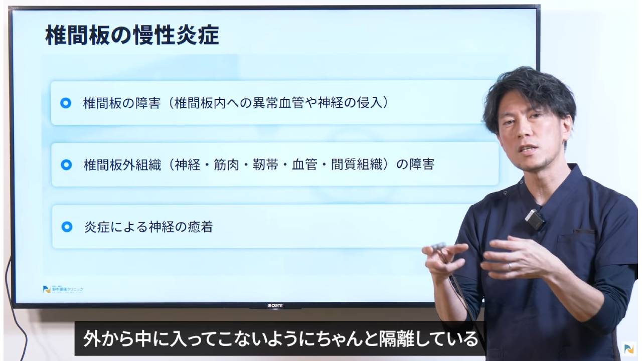 画像は椎間板の説明