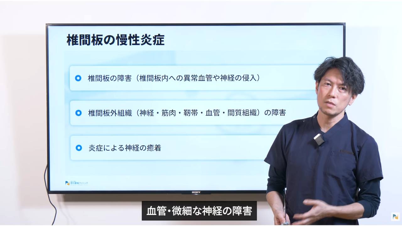 画像は椎間板外組織の説明