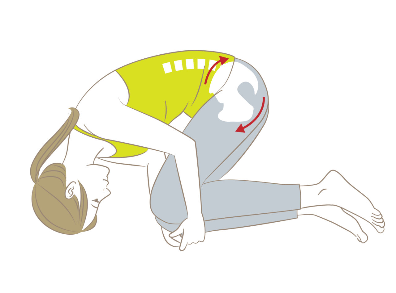 腰を丸めるストレッチ