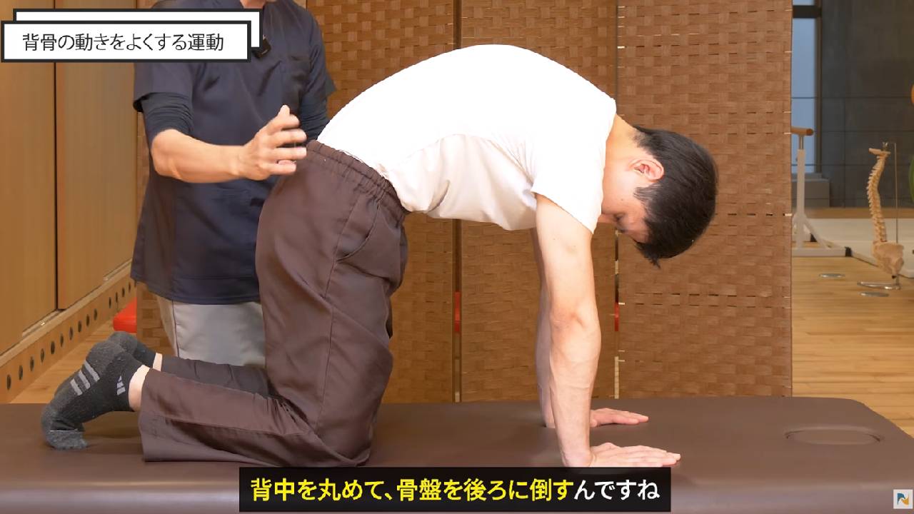 背骨の運動